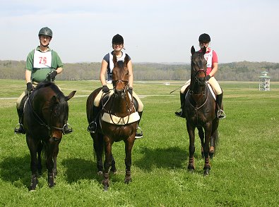 Brew This, Pride of the Fox and Irish Morning Mist.