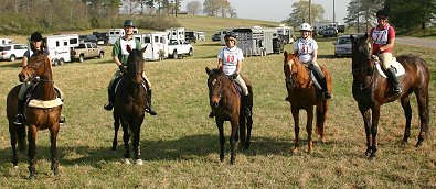 Pride of the Fox, Brew This, Miss with Attitude, Irish Morning Mist