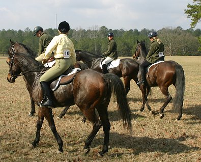 We walked and trotted most of the course with a few gallops in between.