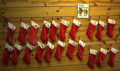 The stocking were hung in the barn with great care. . .