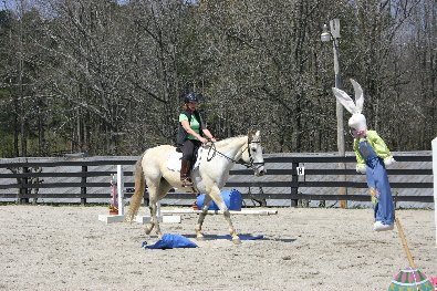 Equine obstacle course at Bits & Bytes Farm