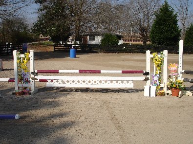 Stadium jumps at Bits & Bytes Farm