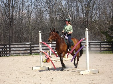 Equine obstacle course at Bits & Bytes Farm
