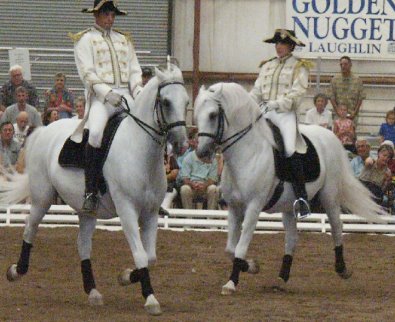 Megan McClay rides in the "World Famous" Lipizzaner Stallions show.