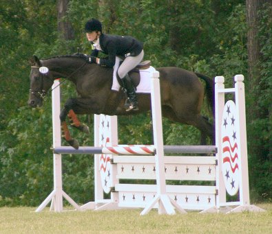 Sanke Proof has turned out to be a great jumper and dressage horse.