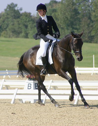 Snake Proof and Morgan Rehm in the dressage arena.