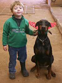 Three year-old Brady decorated Miss Sydney. December 18, 2007