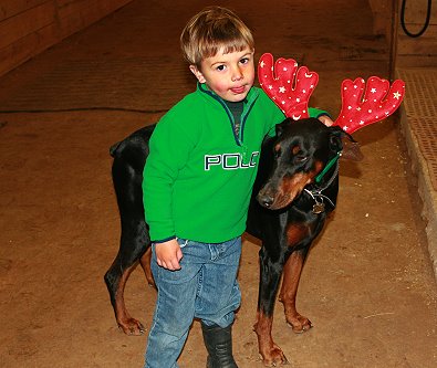 Three year-old Brady decorated Miss Sydney for Christmas with reindeer antlers. December 18, 2007