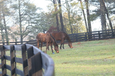 Early spring morning.