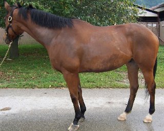 Call for more information.