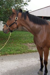 Call for more information.