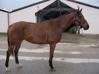 Call for more information.