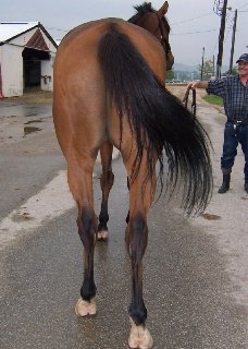 Call for more information.