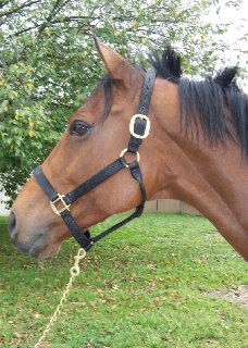 Call for more information.