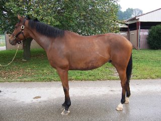 Call for more information.