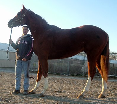 The man in these photos is about 5'6" tall. 