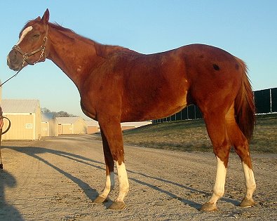 Please call for more information. We do not give prices by e-mail.