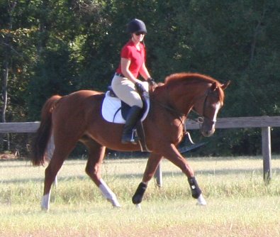 Former Prospect Horse For Sale - Admiration and Whitney Evans - Ocotber 2007