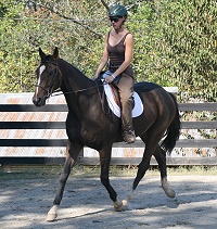 Dawn's third ride on Aly's Alpha Boy was in a group training session.