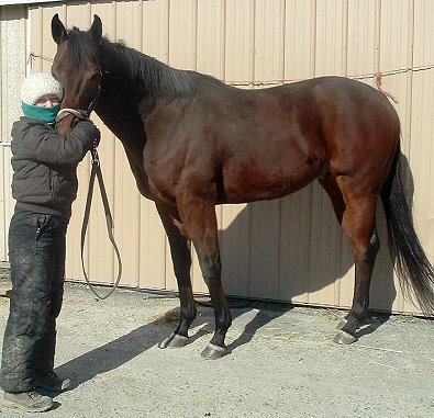 "Banker" has a kind eye and he is well loved. 