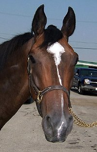 "Sun" still needs a home.