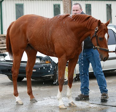 "Bobbie" loves his baths. 