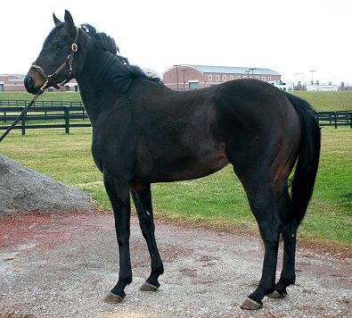 Bubba is just turning three.