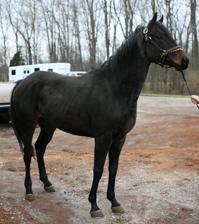 Bubba is just turning three.