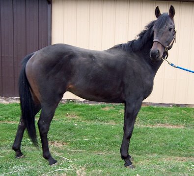 "Bubba" still has a lot of growing to do.