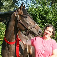 Finder's Chance is a Thoroughbred horse for sale at our farm.