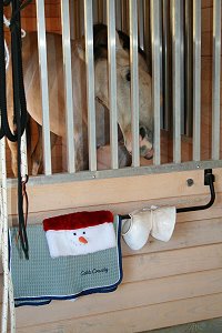 Cobb County's stall is decorated for Christmas. December 23, 2007