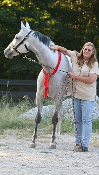 OTTB - Cobb County was purchased by Kelly Fortner of Sautee Nacoochee, GA