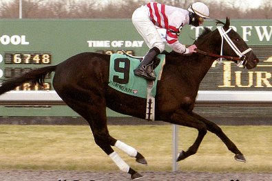 "Coin" is seen here in the winners circle in January 2006 with Julien Leparoux