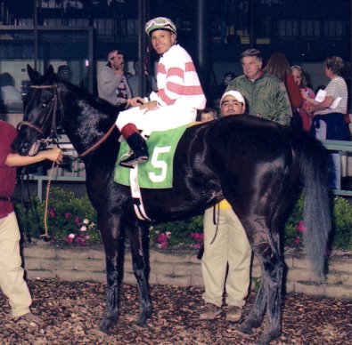 "Coin" winning in May 2004.