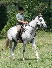 Bob tried several of the Prospect Horses for sale.