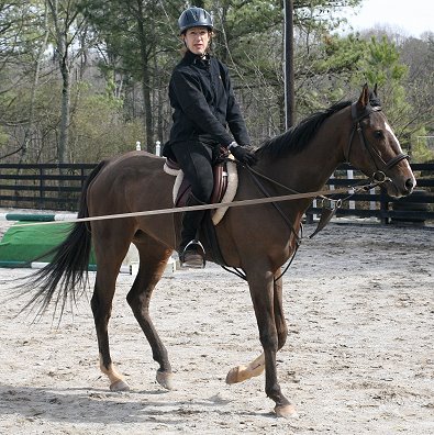 Dr. Nancy Woodruff of Marietta, GA rides Dream Pusher for the first time!