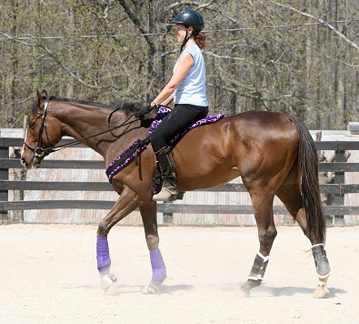 Nancy is riding her OTTB bareback just seven weeks off-the-track.