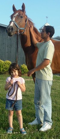 Thoroughbred Horse For Sale