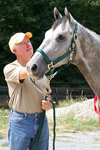 King Dreamer - SOLD! Congratulations to Harry Moore of North Carolina on the pruchase of his second Bits & Bytes Farm horse. 
