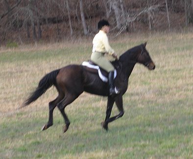K O River Crossing with Stephanie Bone.