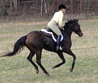 K O River Crossing and Stephanie raced Aly's Alpha Boy across the big field.
