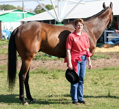 Thoroughbred horse for sale. Please call for more information. We do not give prices by e-mail.
