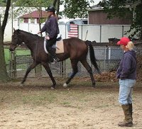 Little Silic learns dressage. April 2008 