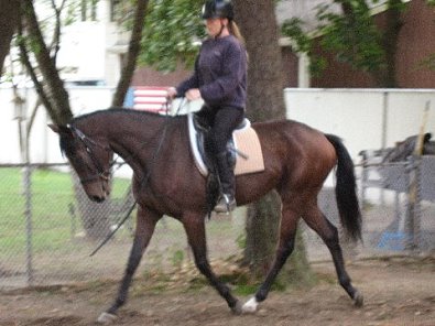 Riding Little Silic is like riding a cloud.