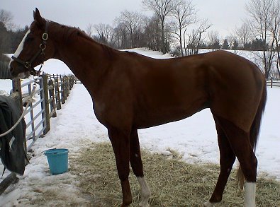 Em Vee Pea at home in Massachusetts.