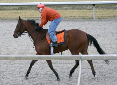 Please call for more information. We do not give prices by e-mail.