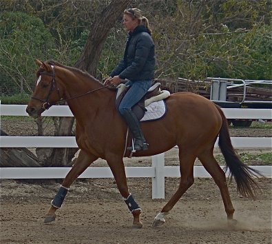 Runnin Joy is an OTTB for sale in California.