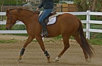 Runnin Joy is in California. 