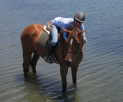 OTTB - Runnin Joy likes to go swimming. June 2008