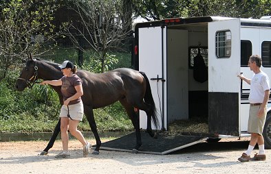 OTTB - Stevie Loverboy arrives at Bits & Bytes Farm. September 4, 2007